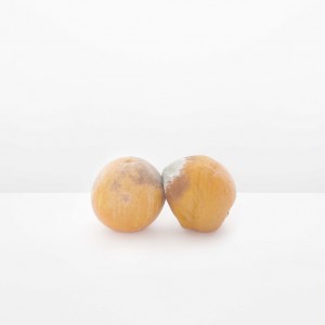 les aimants-zhang-01