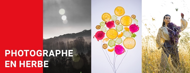 visuel photographe en herbe